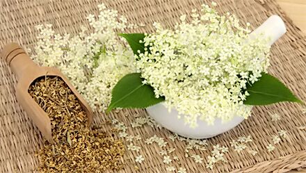 العشب لعلاج التهاب المفاصل